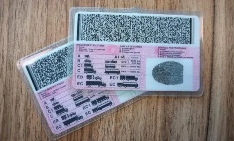 OUTA Calls for South African Driver’s Licences to Be Valid for 10 Years to Improve Efficiency