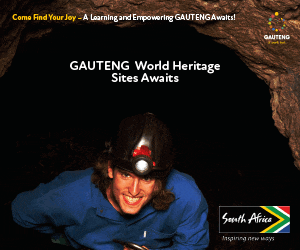 Gauteng News Image