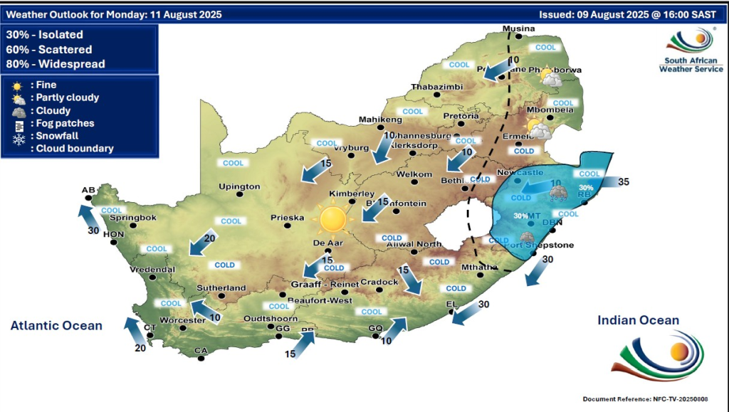 Gauteng News Image