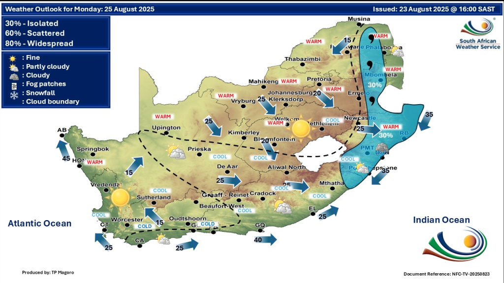 Gauteng News Image