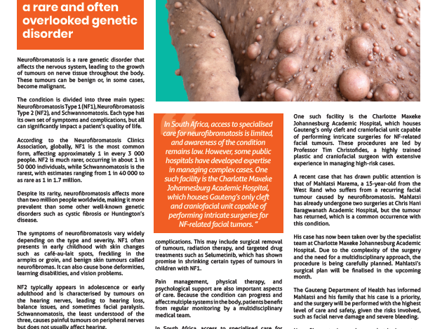 Gauteng News Image