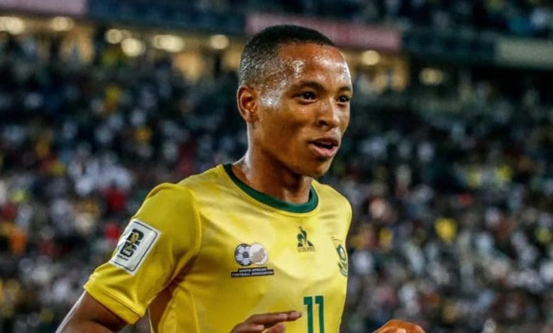 Gauteng News Image