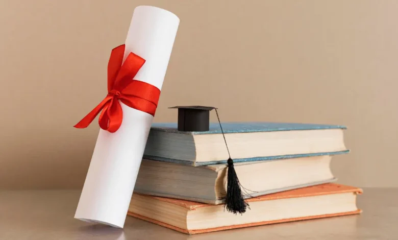 Government vs Private Bursaries: Which One To Choose?