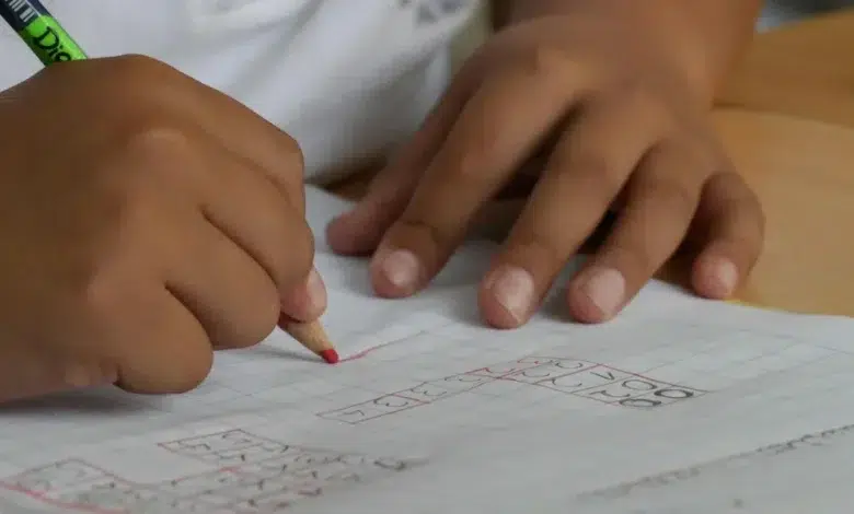 Gauteng School Curriculum in Chaos After Delay – Mid-Year Review Planned