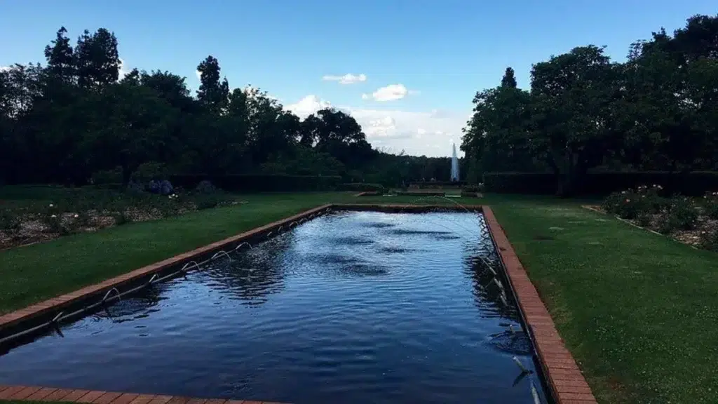Attraction in Emmarentia Johannesburg Botanical Gardens