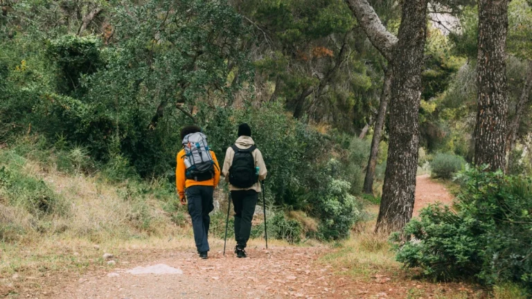 People Hiking - Men trekking in nature