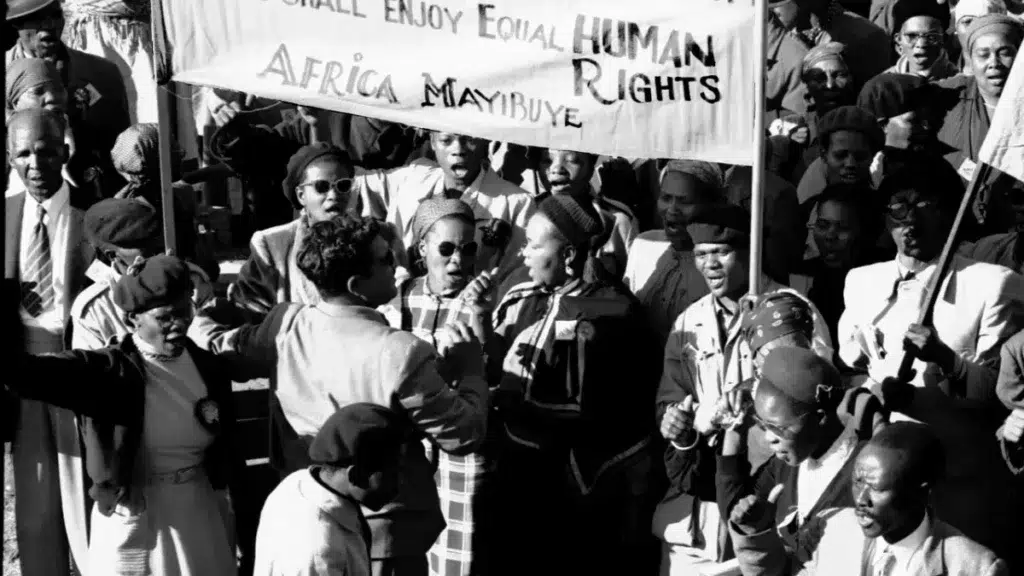 Speaking of Freedom Exhibit at the Apartheid Museum - Discover the Stories Behind Gauteng’s Most Famous Landmarks