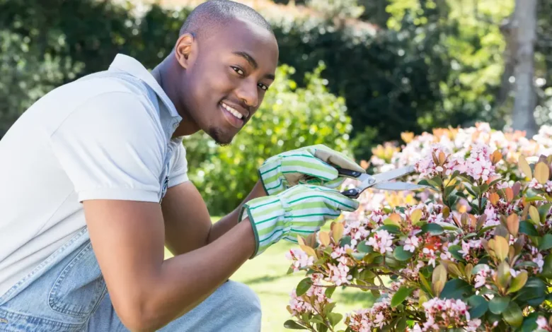 gardening mental health
