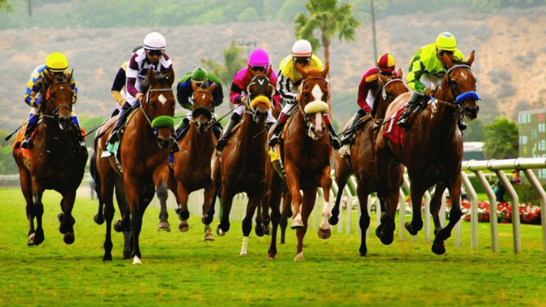 Horse Racing in Gauteng