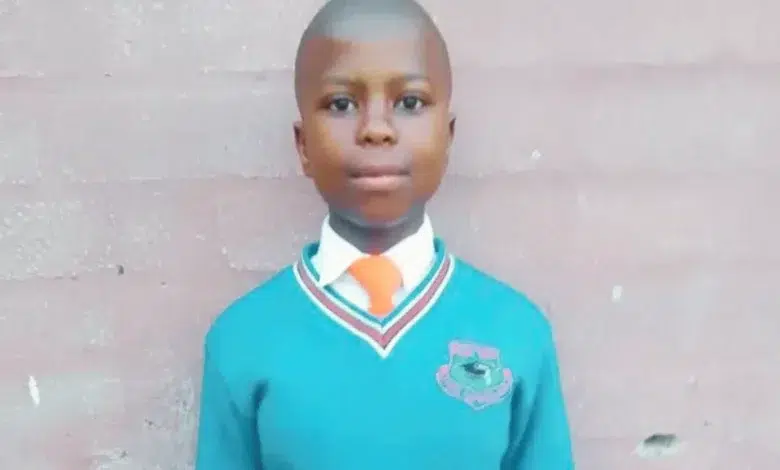 Gauteng Education MEC Mourns Tragic Murder of Learner Likhona Fose