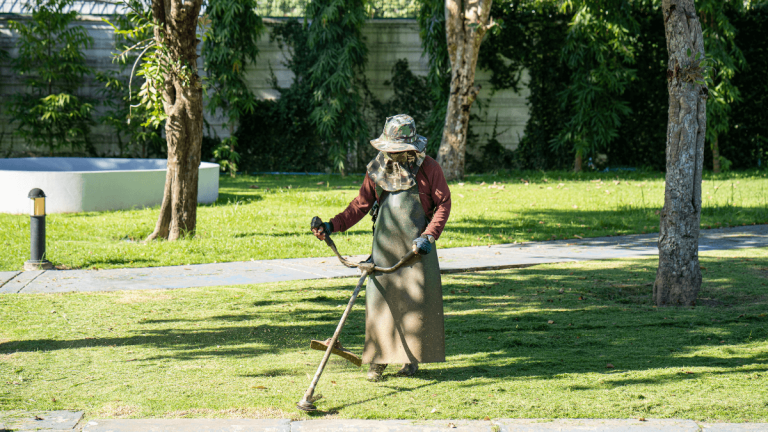 Grounds Keeper Job Opportunities at the Department of Landscape Services (20 Posts)