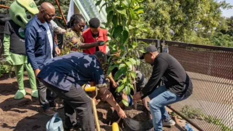 Mandela Day 2025: Johannesburg Leads with Tree Planting, Soup Outreach, and Community Support