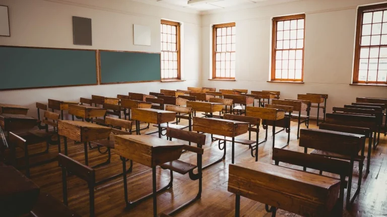 Gauteng Teacher Ruled Unfit to Work With Children After Rape Case