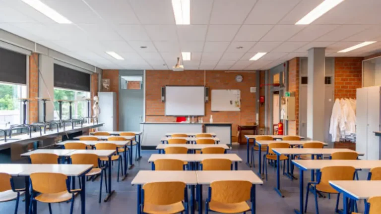 Tragedy at Alberton School: Learner Dies Following Playground Incident