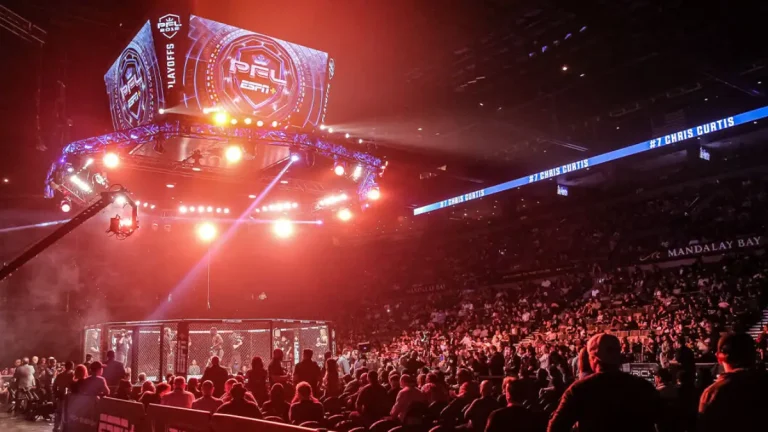 What PFL Africa 2 Means for Joburg Tourism and Small Businesses