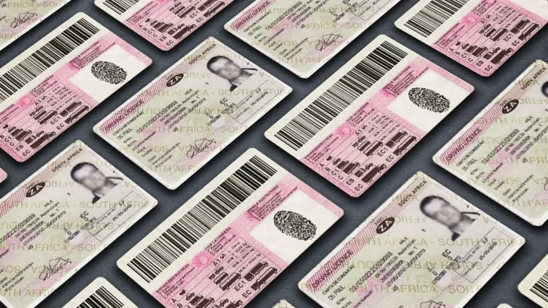 Driving Licence Card Renewal: Step-by-Step Guide