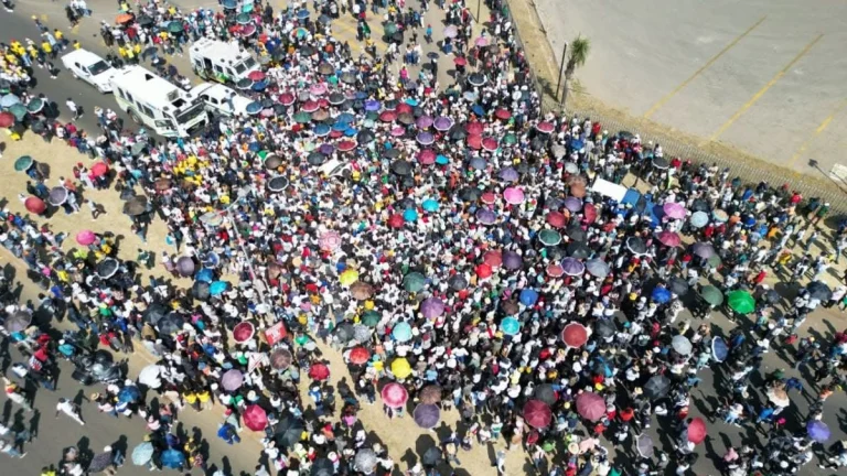 Pretoria Youth March Demands Urgent Job Creation Amid South Africa’s Rising Youth Unemployment Crisis