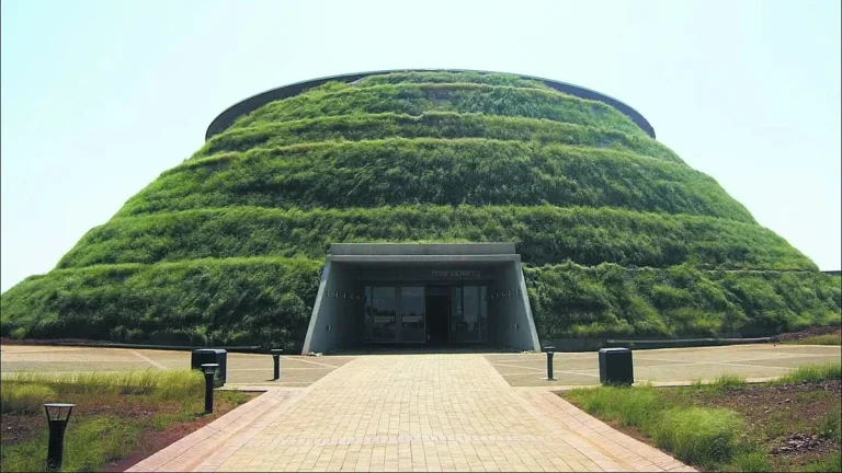 The Cradle of Humankind: Explore This UNESCO Site