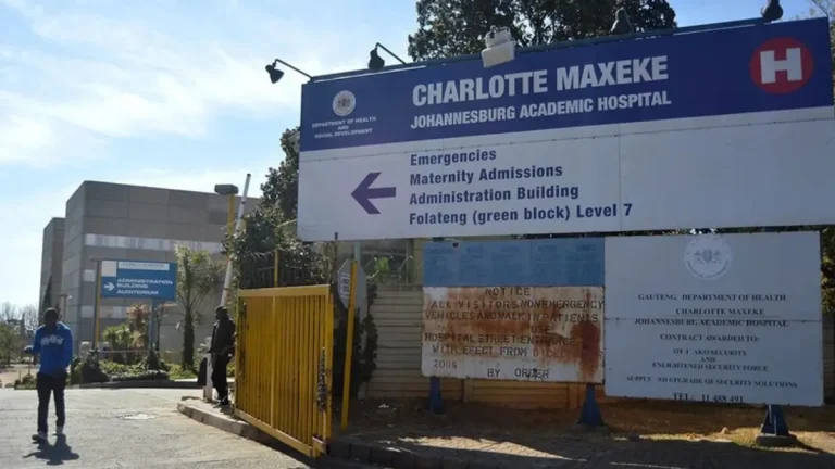 Gauteng Health Breakthrough: Charlotte Maxeke Performs Landmark Stem Cell Transplant
