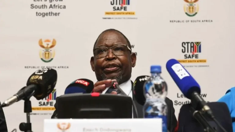 Ramaphosa’s Asia Tour: Enoch Godongwana Appointed Acting President – 22 October 2025